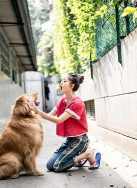 濮阳结伴游玩按摩师公怀山